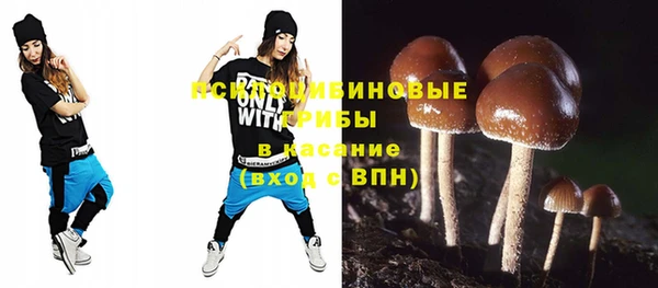дурь Алексин