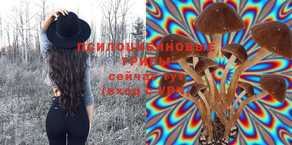 спайс Алзамай
