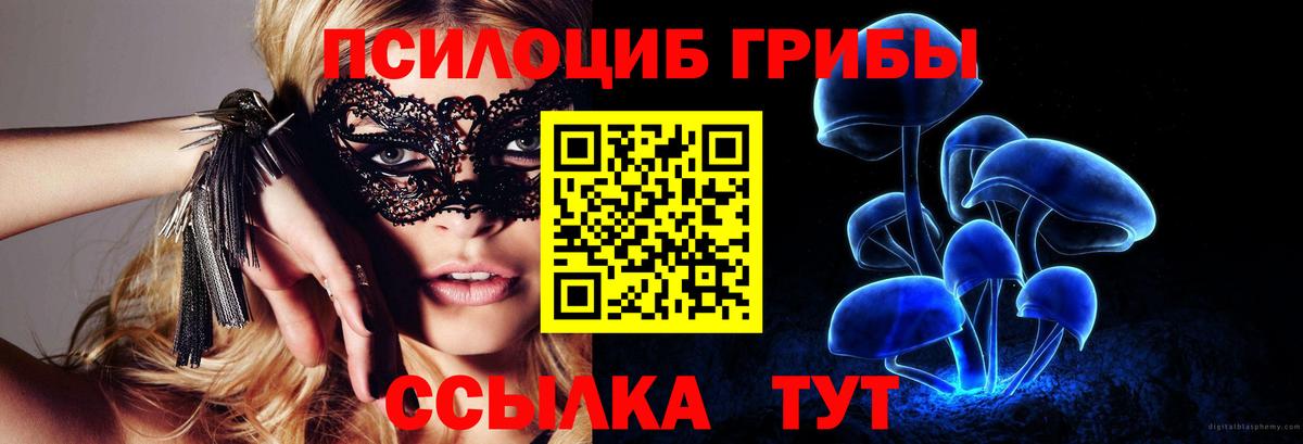 Переславль-Залесский  Псилоцибиновые грибы Magic Shrooms  Вход с VPN  Галлюциногенные грибы Psilocybine cubensis 